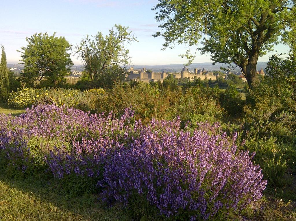B&B Dochavert Carcassonne Bagian luar foto
